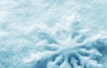 Технология заморозки органов станет более совершенной