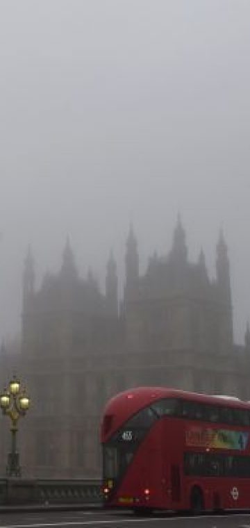 Frankfurter Allgemeine: