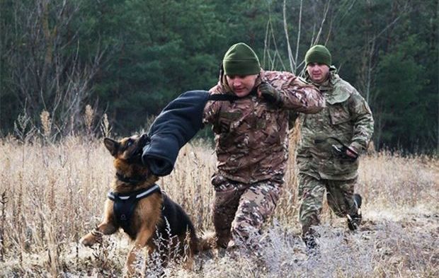Такі засоби захисту повинні вберегти службових собак від ударів камінням і палицями / dpsu.gov.ua Такі засоби захисту повинні вберегти службових собак від ударів камінням і палицями / dpsu.gov.ua