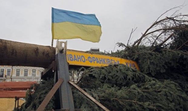 2 грудня ялинку првезуть до Києва / Фото УНІАН 2 грудня ялинку првезуть до Києва / Фото УНІАН