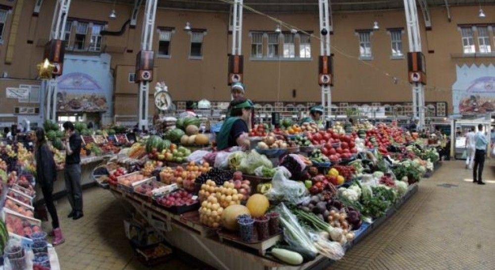 Igems.Pw/Fire Hackear Free Fire Ios