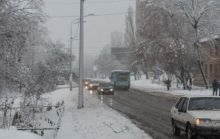 Харків потрапив до снігової пастки: у місті повалено понад 500 дерев, пошкоджено ЛЕП (фото)