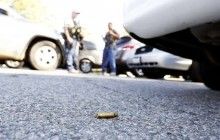 Стрельба в центре Львова: в результате конфликта возле ночного клуба от огнестрельных ранений пострадали трое мужчин
