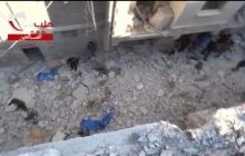 Bakery hit by air strikes in Syria's Aleppo - amateur video