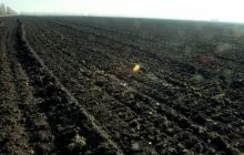 Мільйони українців можуть поскаржитися до ЄСПЛ через мораторій на продаж землі - суддя