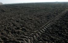В российском агросекторе назревает коллапс