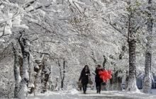 Почти вся Украина встретит Новый год со снегом