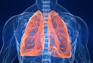 В Канаде ученые создали универсальные легкие (видео)