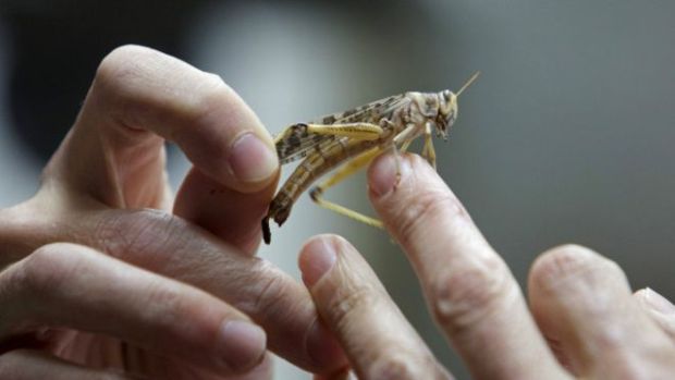 З аеродрому цього міста якого щодня злітають літаки, що бомблять Донецьку область / фото REUTERS