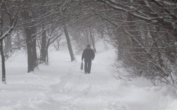 туман, зима, снег / Фото УНИАН