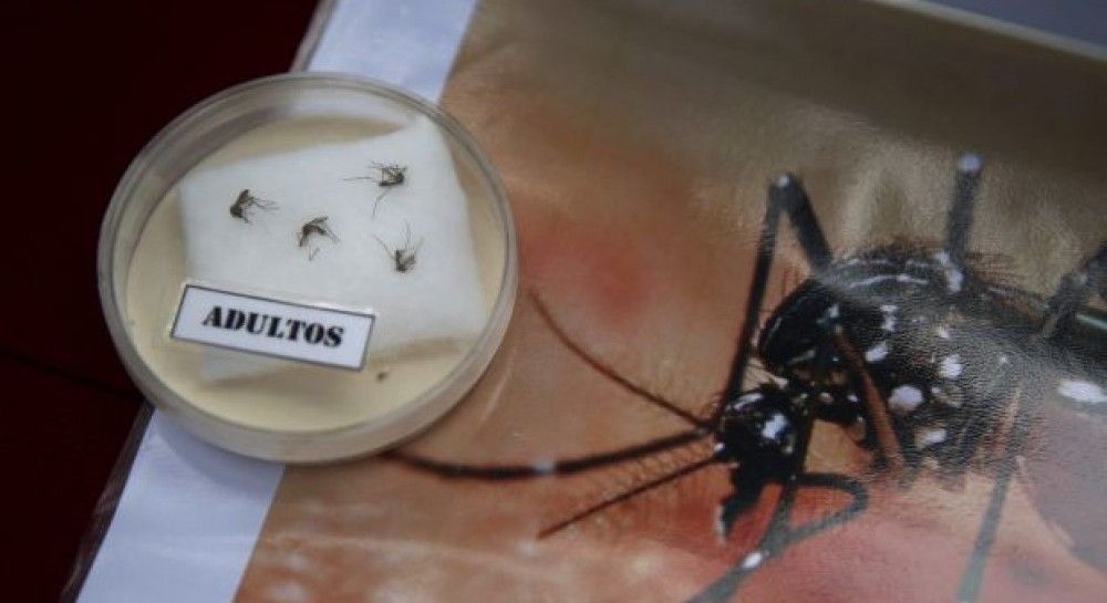 ВОЗ поднимает тревогу: