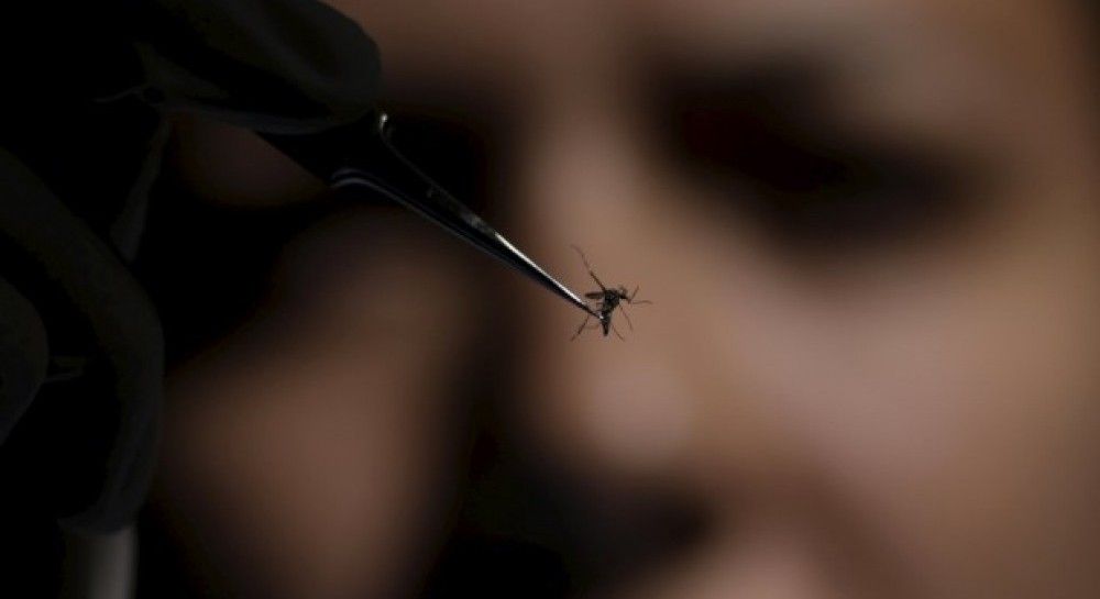 Эпидемия вируса Зика: