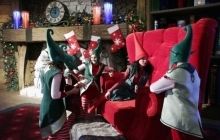 Ученые выявили зону мозга, которая отвечает за способность радоваться Рождеству