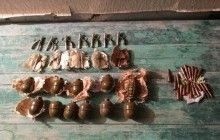 На Луганщині у законсервованій лабораторії з вирощування марихуани СБУ виявила схованку з гранатами
