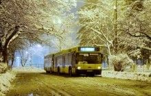 Транспортна комісія Київради рекомендує запровадити нічні автобусні маршрути