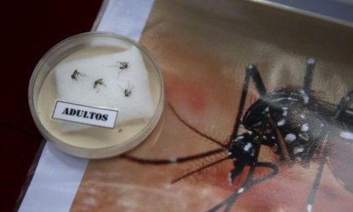 ВООЗ піднімає тривогу: