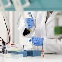 Ученые впервые удалили из ДНК человеческого эмбриона ген, отвечающий за заболевание