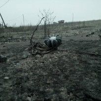 Even after start of disengagement, Donbas invaders shell Ukraine troops using banned weapons