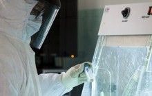 В Великобритании ученым разрешили генетически модифицировать человеческие эмбрионы