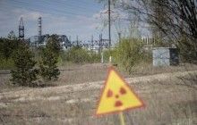 Минэкологии выступает за создание заповедника в Чернобыльской зоне