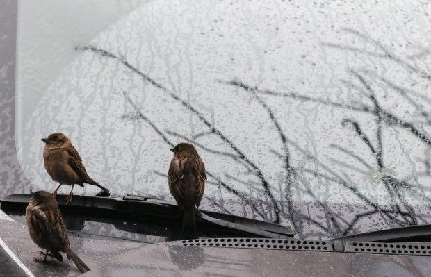 Ілюстрація / REUTERS Ілюстрація / REUTERS