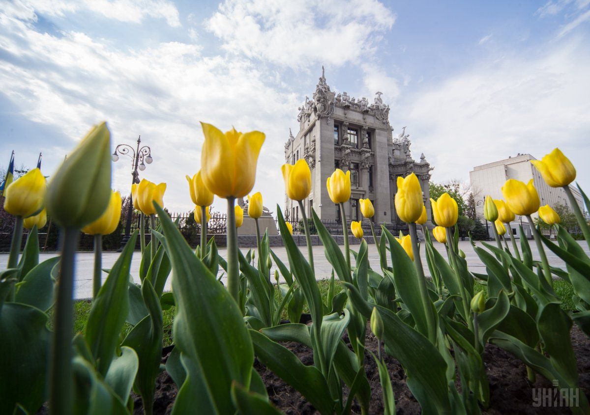 11 мая в Киеве станет теплее / Фото УНИАН 11 мая в Киеве станет теплее / Фото УНИАН