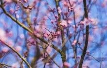 Украинцам обещают солнечные и теплые выходные: температура достигнет +13 градусов