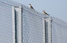 Латвия отгораживается забором от РФ: первые 3 километра готовы