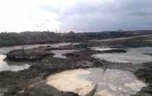 Журналисты рассказали, как работает "янтарная мафия" на Полесье