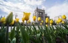 Сегодня в Киеве заметно потеплеет
