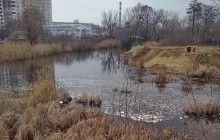 Kyiv residents claim Klitschko is breaking promises by allowing construction on lake