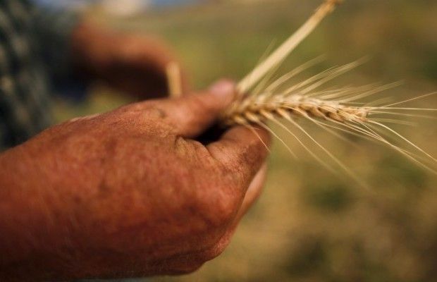 В Україні з'явилося нове свято