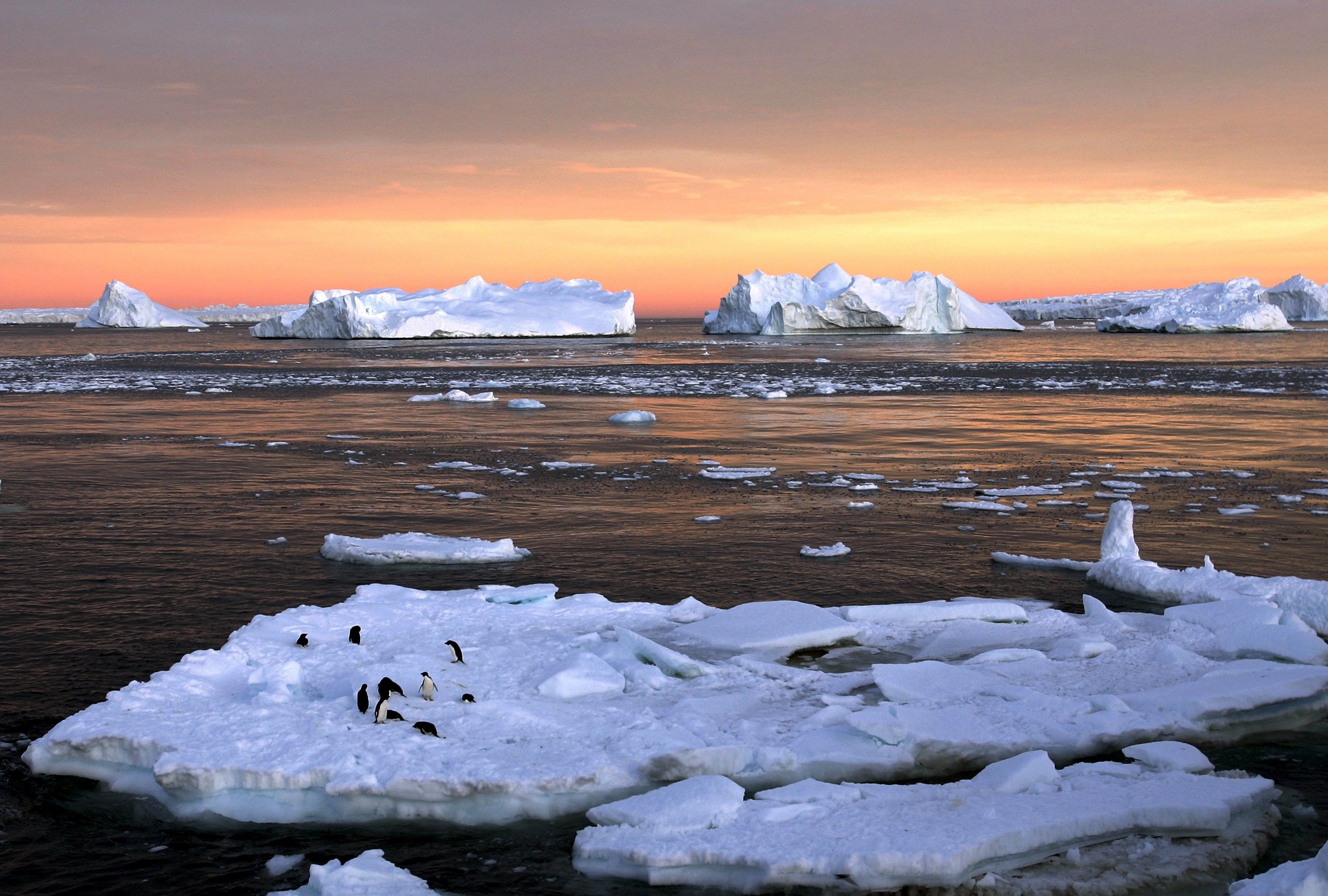 Температура в арктическом регионе растет / Иллюстрация REUTERS