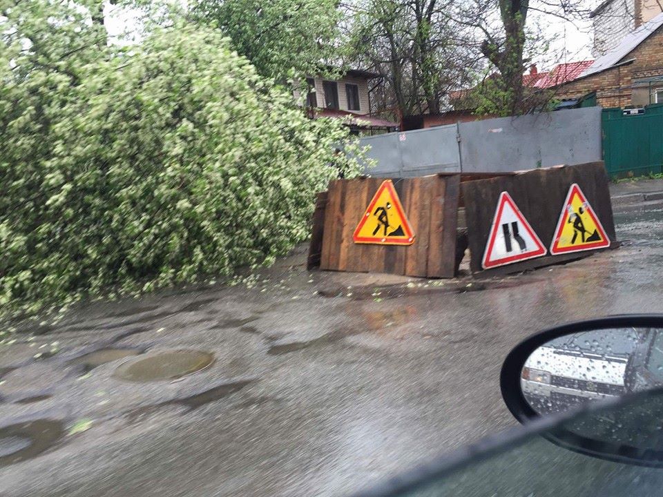 Місцями навіть повалені дерева / dtp.kiev.ua Місцями навіть повалені дерева / dtp.kiev.ua