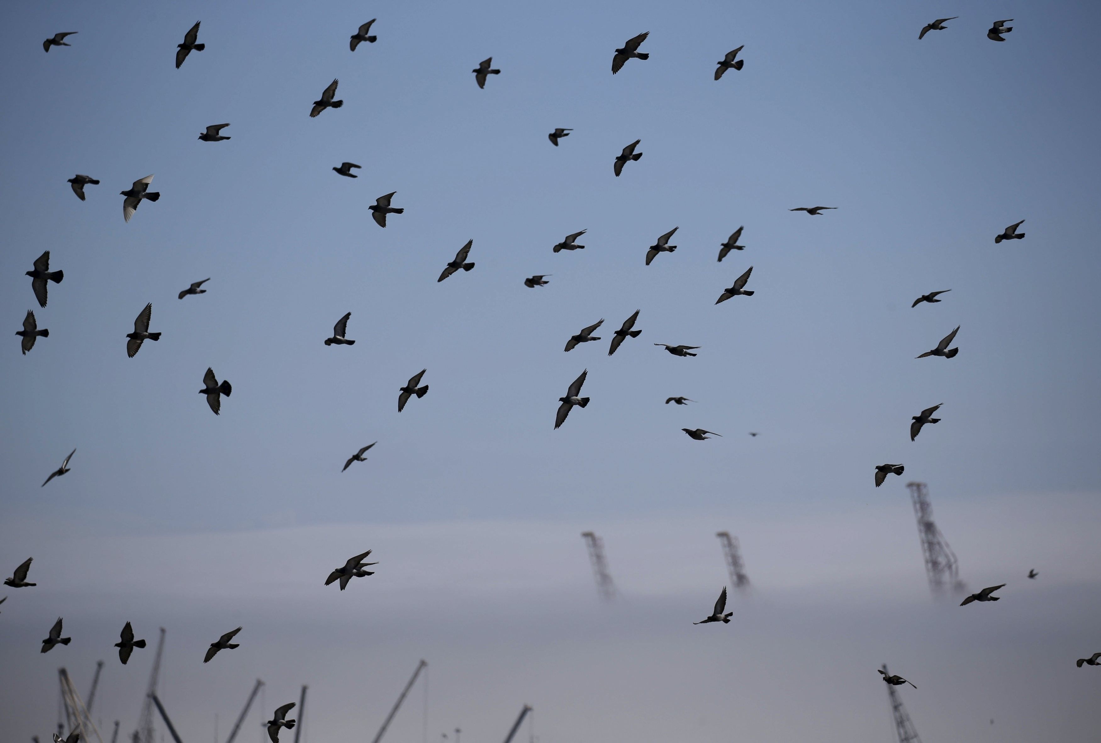 В Одесі сьогодні буде густий туман / фото REUTERS В Одесі сьогодні буде густий туман / фото REUTERS