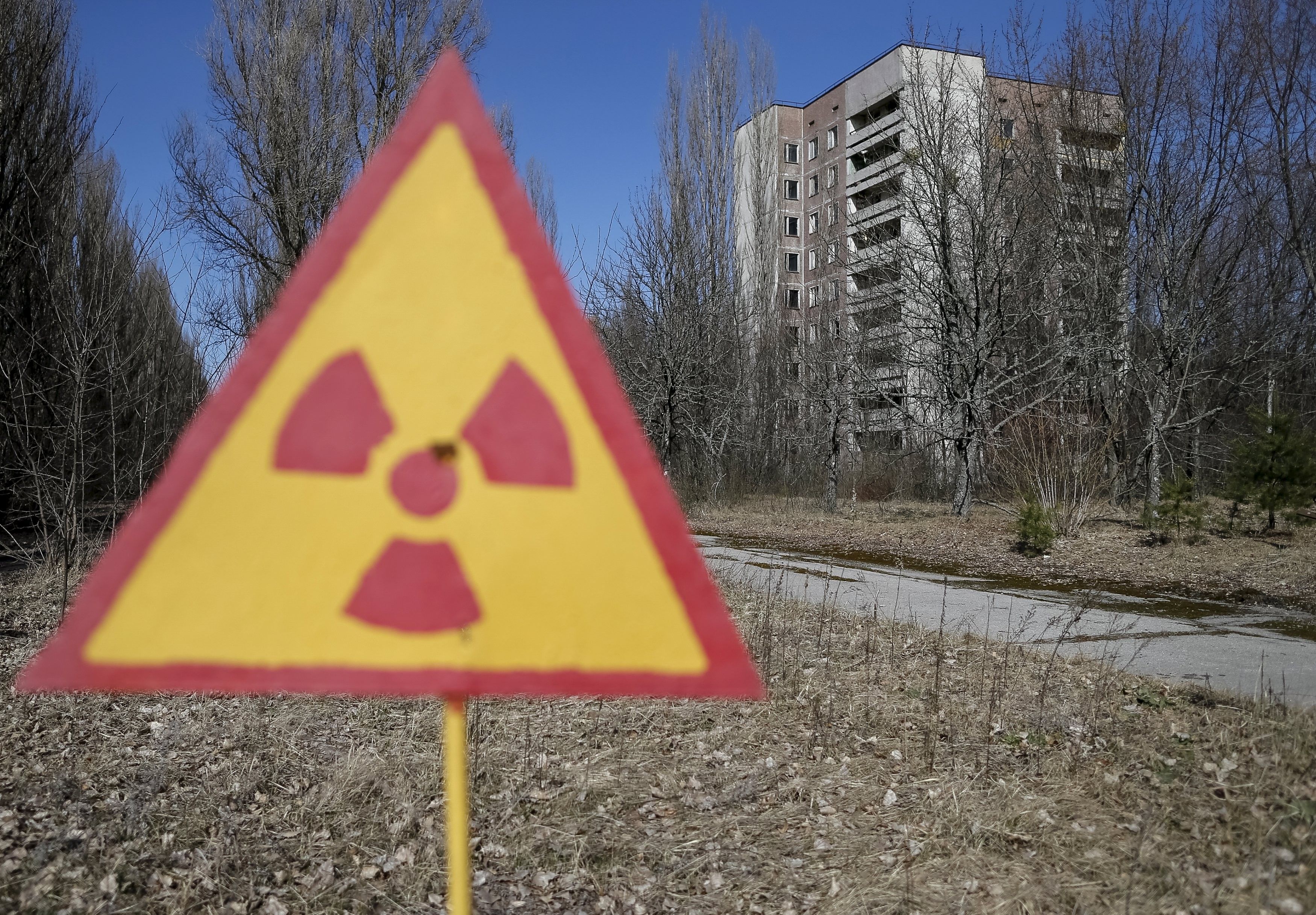 На месте Чернобыльской катастрофы продолжается жизнь / фото REUTERS