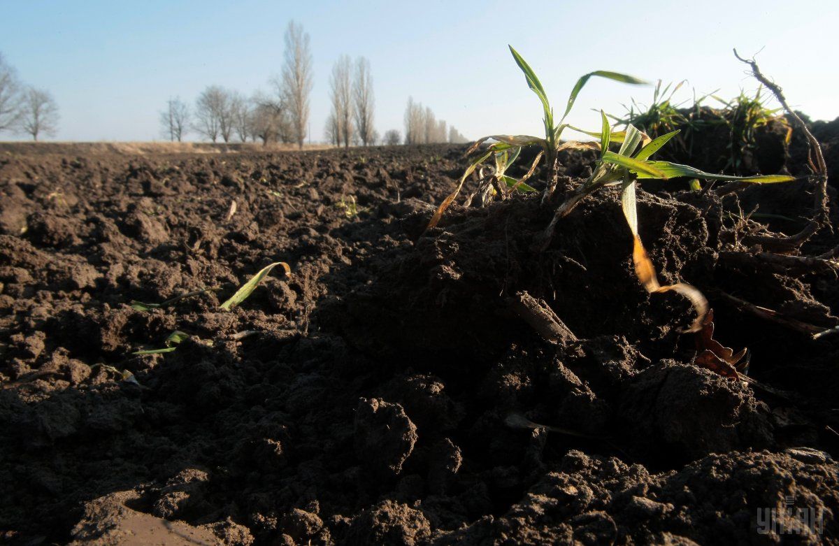 Agricultural complex is in anticipation of big changes / Photo from UNIAN