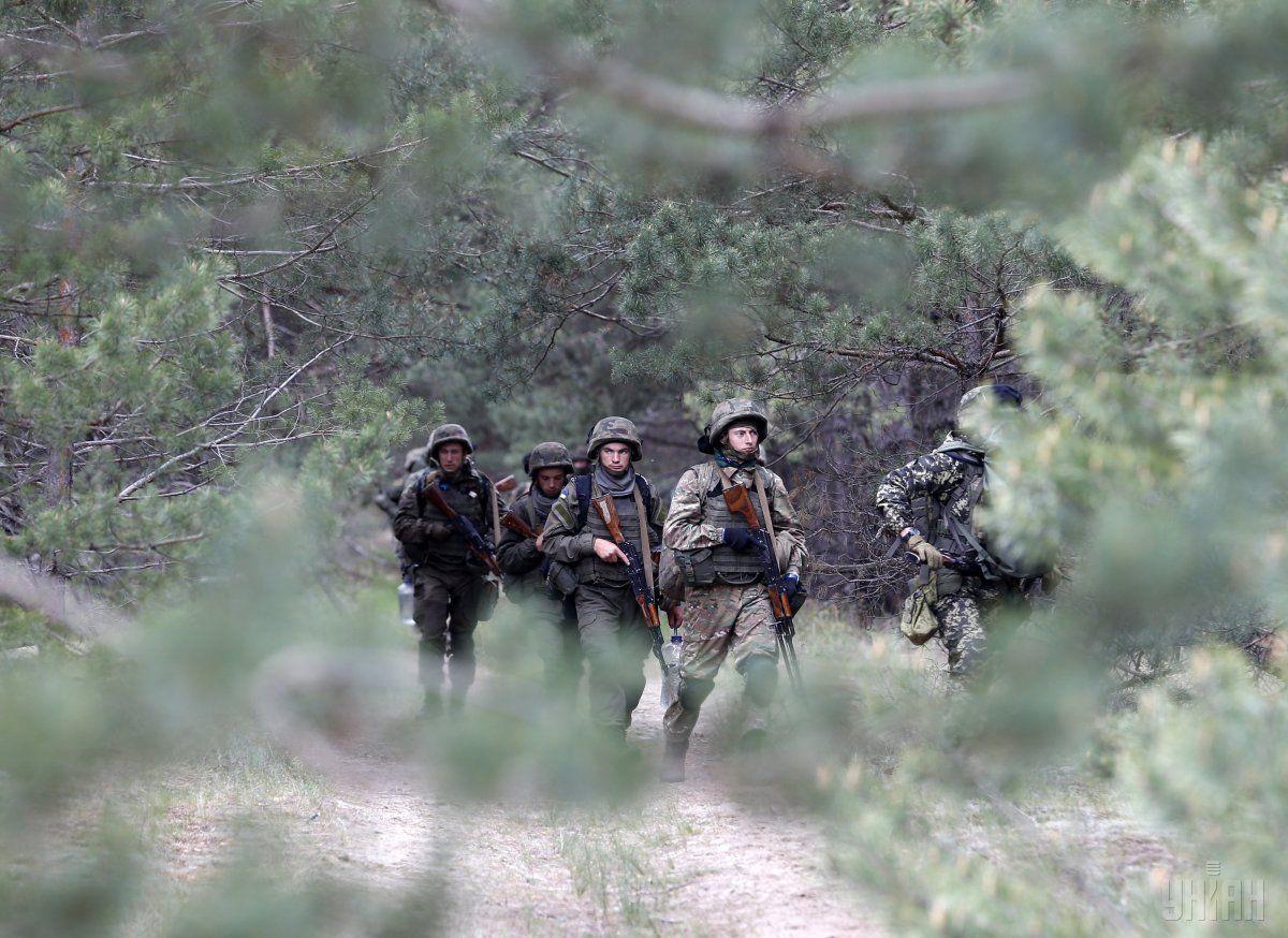 Savchenko assessed the possibility of the Ukrainian army moving to NATO standards by 2020. / Photo from UNIAN