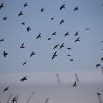 Атмосферный фронт принесет в Украину небольшое похолодание - синоптик