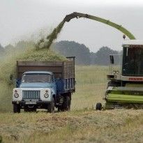 Ukraine to introduce new standard for wheat in May-June 2019 – agrarian ministry