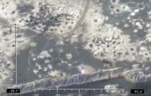 Пограничники с самолета сняли масштабы "янтарных пустынь" на Полесье (видео)