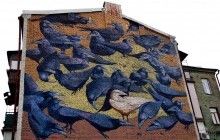 Ученые: Вороны "идеально" подходят для спасения города от экологической катастрофы