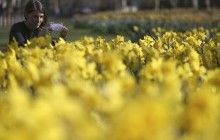 В Украине сегодня будет тепло и солнечно (карта)