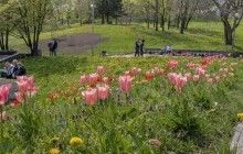 В Україні сьогодні очікується тепла погода без опадів, температура до +23