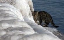 Синоптики рассказали о скором потеплении до +13°