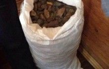 Пограничники предотвратили незаконный вывоз в Польшу почти 35 кг янтаря
