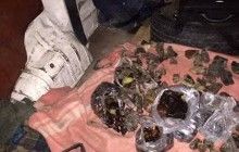 СБУ вилучила бурштину на понад 7 мільйонів гривень
