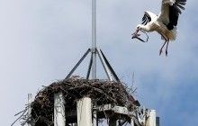 В мире сегодня отмечают Международный день Матери-Земли (фоторепортаж)