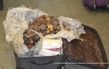 В аэропорту Харькова задержали двух китаянок, пытавшихся вывезти 35 килограмм янтаря (фото)