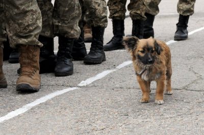 УНІАН УНІАН